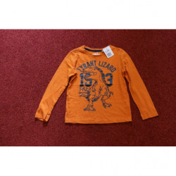 Langarm-Shirt mit Dinomotiv