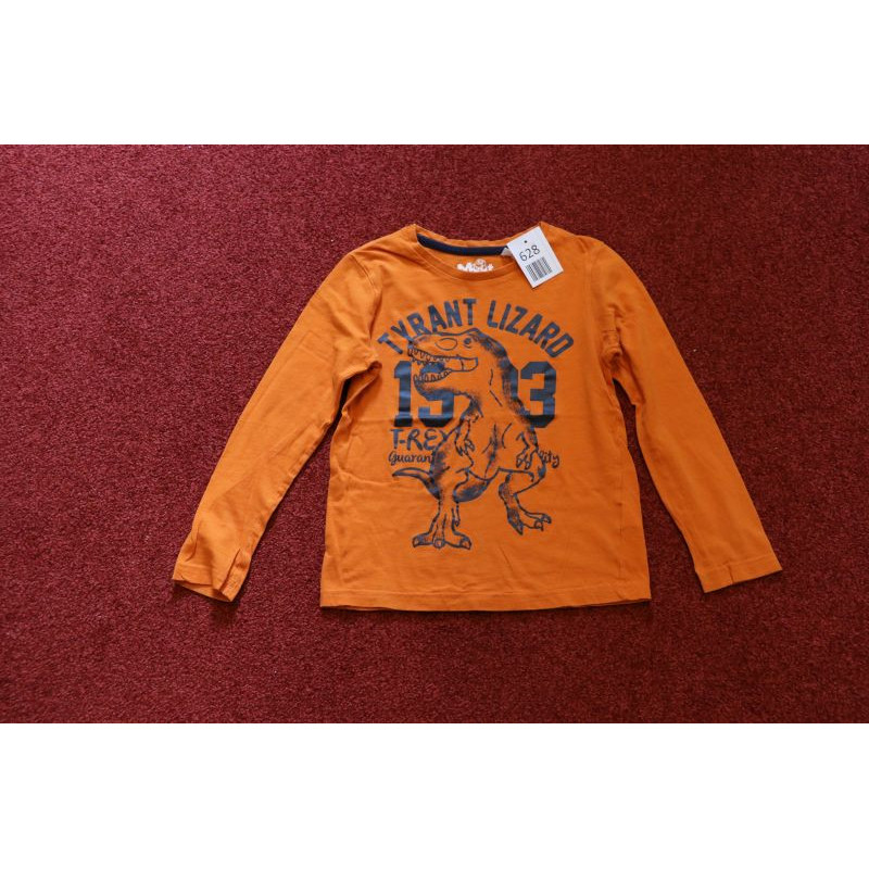 Langarm-Shirt mit Dinomotiv