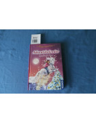 Adventskalenderbuch - Zauberlichter