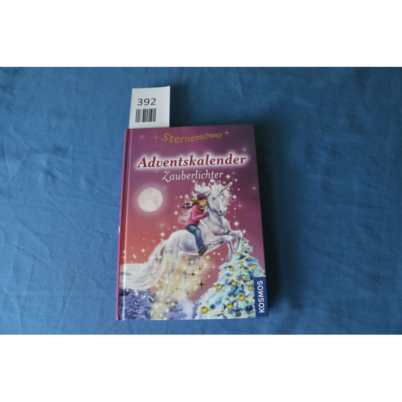 Adventskalenderbuch - Zauberlichter