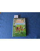 Ponyhof Apfelblüte - Ladys glanzvoller Auftritt