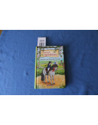 Ponyhof Apfelblüte - Samson und das große Turnier